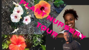 [ID: YiSD7nQ2AUk] Youtube Automatic