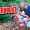 How to Water Watermelon Plants? Mulching Experiment!!!