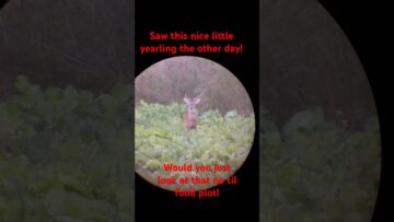 [ID: yJFnLQJ-BOg] Youtube Automatic