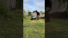 [ID: YkYOyIkAMeY] Youtube Automatic