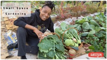 [ID: YLtlC7xbCuU] Youtube Automatic