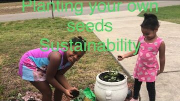 [ID: yMQ7nuQnETg] Youtube Automatic