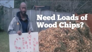 [ID: yn8BDIpxMRM] Youtube Automatic