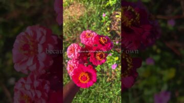 [ID: yUBL0EEGdsg] Youtube Automatic