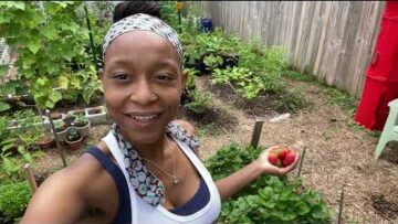 [ID: yvcbbQtGKQ4] Youtube Automatic