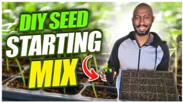 [ID: YVHFZnRcX-w] Youtube Automatic