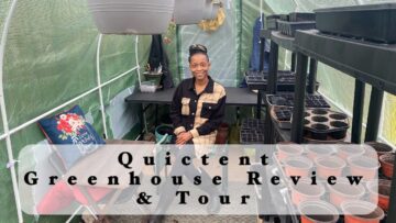 [ID: ywcmeZqygO4] Youtube Automatic