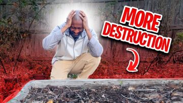 [ID: Z-YQLAClYKQ] Youtube Automatic