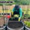 Spring Gardening 101: Easy Tips For Beginners