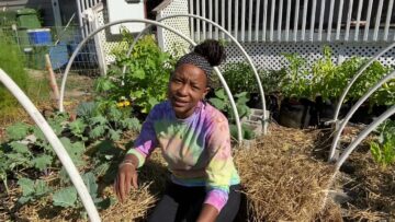 [ID: zc6dtFa8Cww] Youtube Automatic