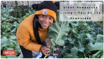 [ID: zd0-rCs4XNs] Youtube Automatic