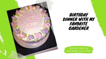 [ID: ze9aUv-VxlY] Youtube Automatic