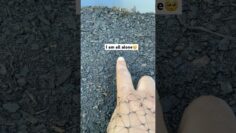 [ID: ZhJKxiLc6To] Youtube Automatic