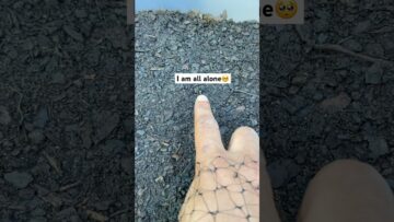 [ID: ZhJKxiLc6To] Youtube Automatic