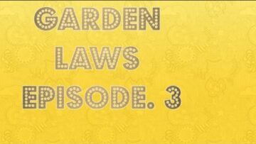 [ID: ZhN1Jw_3v6o] Youtube Automatic