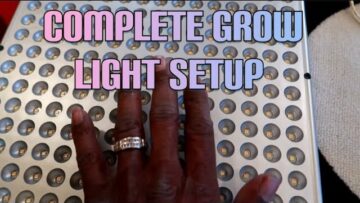 [ID: ZhYNmZaJs8s] Youtube Automatic