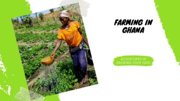 [ID: ZN7JynOTHyQ] Youtube Automatic