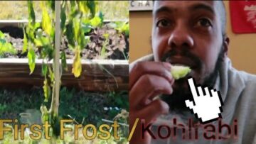 [ID: zOfGZwb6zAg] Youtube Automatic