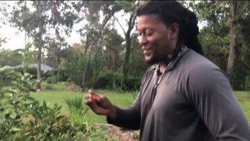 [ID: ZqebHRiPLs0] Youtube Automatic