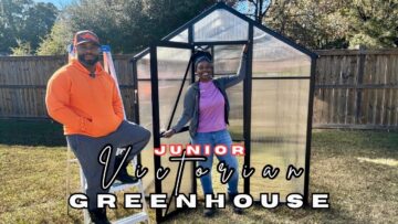 [ID: ZQKR5kWjCZ4] Youtube Automatic