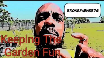 [ID: ZQn27hB3NO0] Youtube Automatic