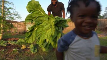 [ID: ZrcQygoWA9g] Youtube Automatic