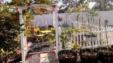 [ID: zrpf9X8x_Kk] Youtube Automatic