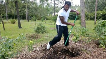 [ID: zrx8k8QTqs0] Youtube Automatic