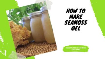 [ID: ztZ8jfLzmwI] Youtube Automatic