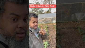 [ID: Zxm64zlkCjw] Youtube Automatic