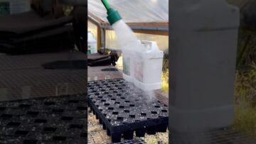 [ID: zyiv2O8A5Pk] Youtube Automatic