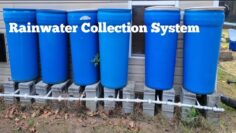 [ID: zzSOvtJyUiM] Youtube Automatic